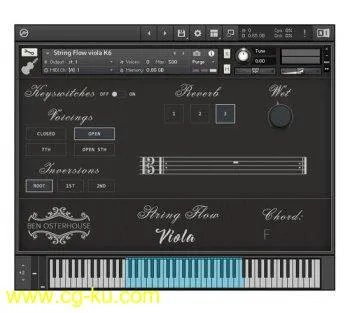 Ben Osterhouse String Flow Viola v1.3.1 KONTAKT-DECiBEL的图片1