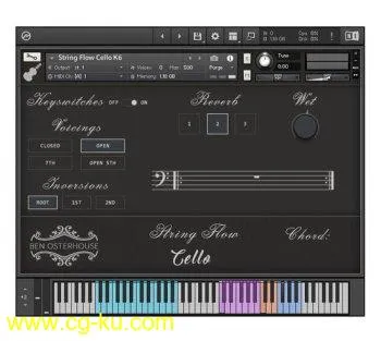 Ben Osterhouse String Flow Cello v1.3.1 KONTAKT-DECiBEL的图片1