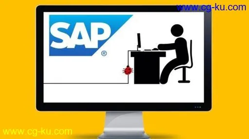 Debugging SAP ABAP Code For Non Programmers的图片1