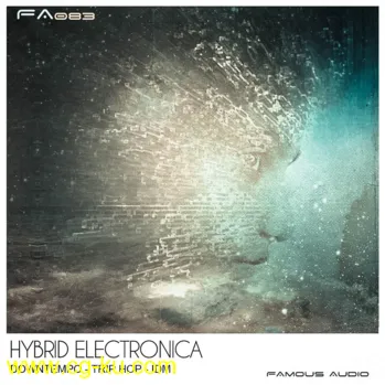 Famous Audio Hybrid Electronica WAV-DISCOVER的图片1