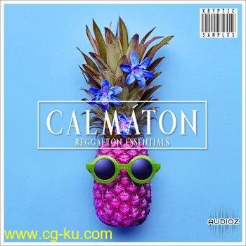 Kryptic Calmaton MULTiFORMAT-DECiBEL的图片1