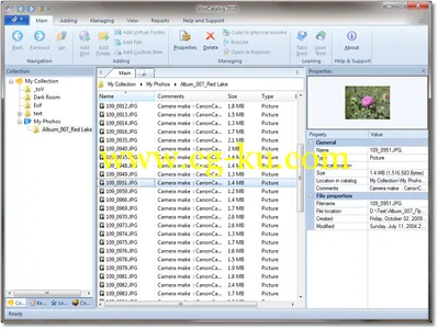 WinCatalog 2013 4.11 Multilanguage 管理电脑中的收藏的图片1