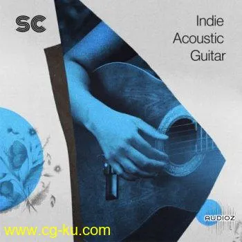 Sonic Collective Indie Acoustic Guitar WAV-FLARE的图片1