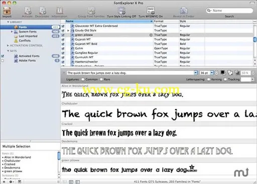 FontExplorer X Pro 4.2.3 MacOsX 字体管理工具的图片2
