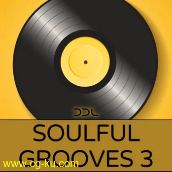 Deep Data Loops Soulful Grooves 3 WAV MiDi-DISCOVER的图片1