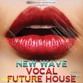 Mainroom Warehouse New Wave Vocal Future House MULTiFORMAT-DECiBEL的图片1