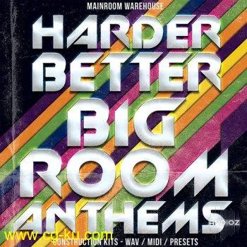 Mainroom Warehouse Harder Better Bigroom Anthems MULTiFORMAT-DECiBEL的图片1