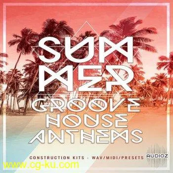 Mainroom Warehouse Summer Groove House Anthems MULTiFORMAT-DECiBEL的图片1