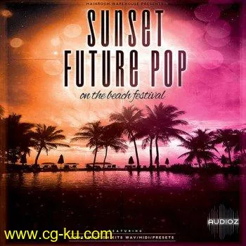 Mainroom Warehouse Sunset Future Pop MULTiFORMAT-DECiBEL的图片1