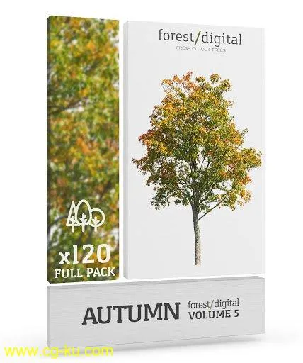 Forest/Digital Vol. 5 – Autumn trees的图片1