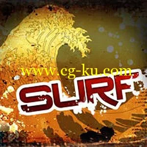 Big Fish Audio Surf MULTiFORMAT的图片1