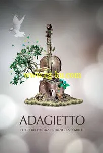 8Diо Adagietto KONTAKT的图片1