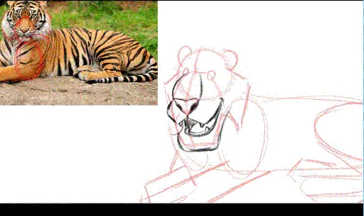 Sketching Appealing Animals in Photoshop的图片2