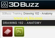 3DBuzz – Drawing 102 – Anatomy的图片1