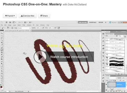 Photoshop CS5 One-on-One: Mastery的图片2