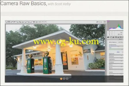 Camera Raw Basics with Scott Kelby的图片1