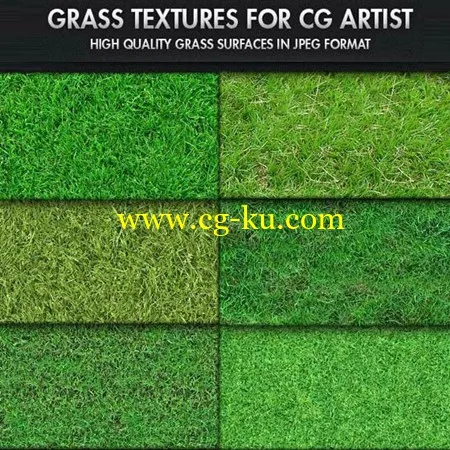 CG Artist Grass Textures 草纹理的图片1