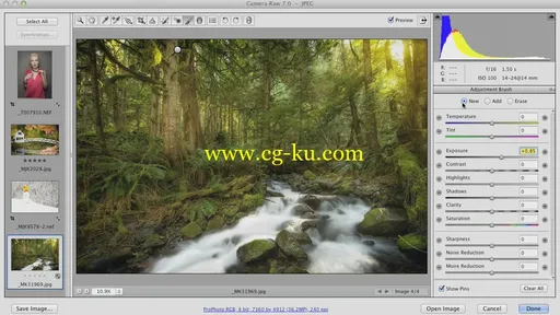 Photoshop CS6: Camera Raw (2013)的图片1