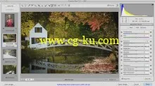 Photoshop CS6: Camera Raw (2013)的图片4