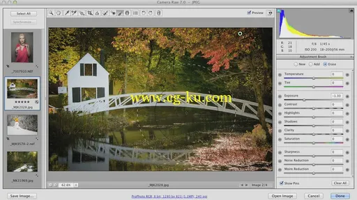 Photoshop CS6: Camera Raw (2013)的图片5