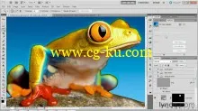 Photoshop Masking and Compositing: Fundamentals的图片4