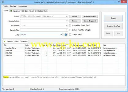 Binary Fortress Software FileSeek Pro 3.2.1 Multilingual 文件搜索工具的图片1