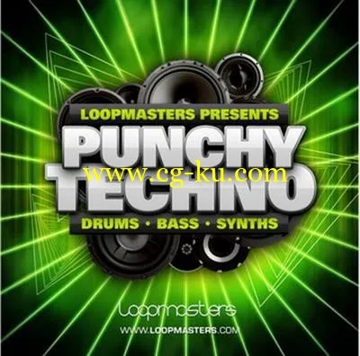 Loopmasters – Punchy Techno (MULTiFORMAT)的图片1