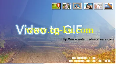 WaterMark Software Video to GIF 4.4的图片1