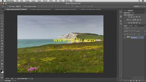 Photoshop for Designers: Filters (2013)的图片3