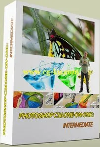 Photoshop CS6 One-on-One: Intermediate [repost]的图片1