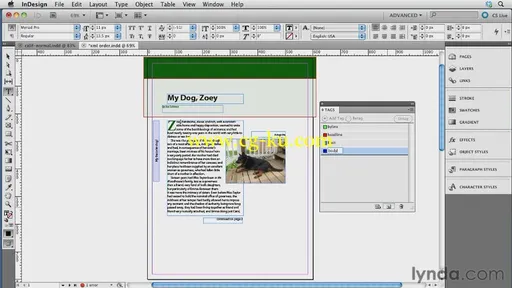 InDesign CS5.5 to EPUB, Kindle, and iPad的图片3