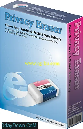 Privacy Eraser Pro 9.95 清除上网痕迹工具的图片2