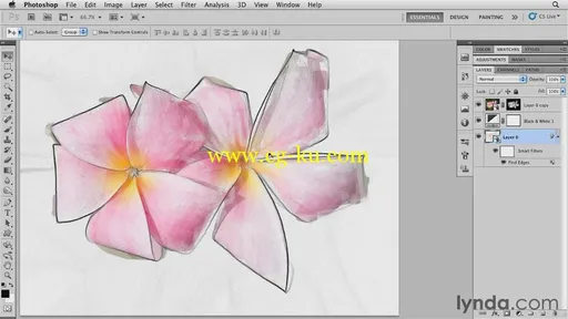 Photoshop for Designers: Textures的图片2