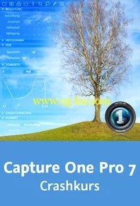 Capture One Pro 7 – Crashkurs Den RAW-Converter kennenlernen的图片2