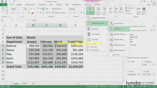 Excel 2013: Pivot Tables in Depth (2013) [repost]的图片1