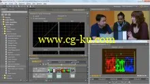 Premiere Pro: Color Correction and Enhancement的图片2