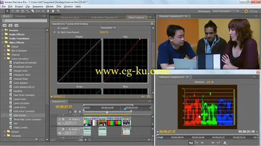 Premiere Pro: Color Correction and Enhancement的图片3