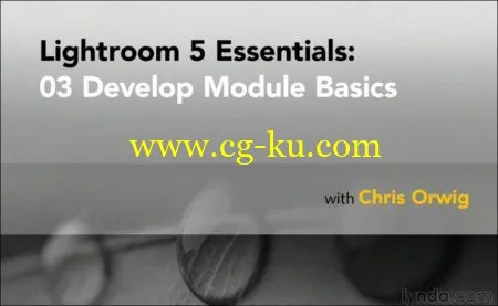 Lightroom 5 Essentials: 03 Develop Module Basics (2013)的图片1