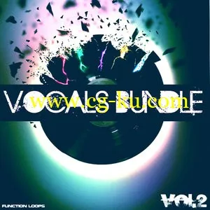 Function Loops Vocals Bundle 2 (WAV-MiDi)的图片1