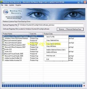 NSAuditor Backup Key Recovery 1.8.3.0 产品密钥恢复工具的图片1