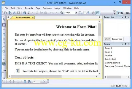 Form Pilot Office 2.43 扫描表格软件的图片1