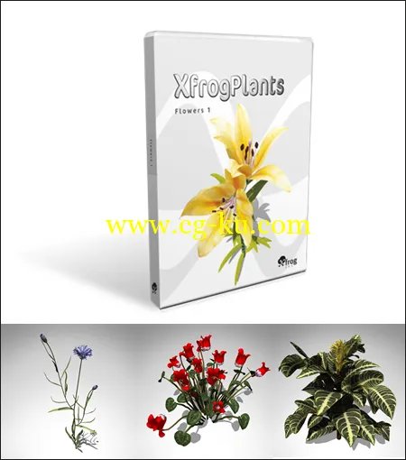 XfrogPlants – FLOWERS 1 3D花模型的图片1