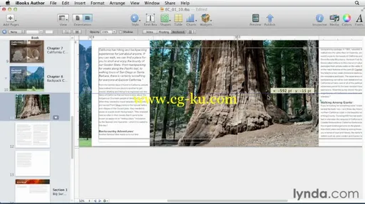 iBooks Author Essential Training的图片3