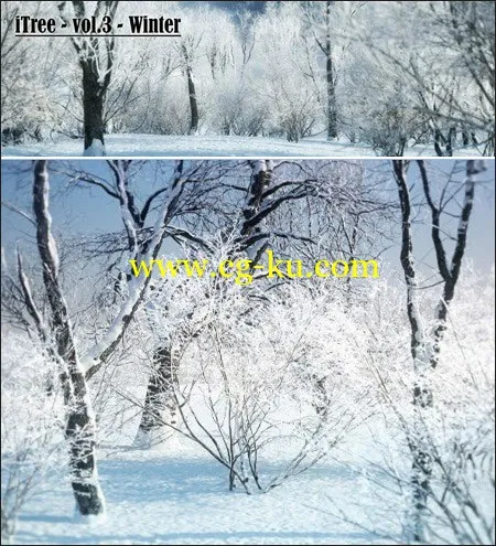 R&D Group – iTrees vol.3 Winter 冬季树木模型的图片1