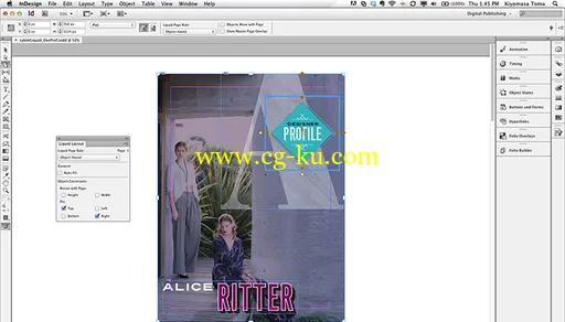 Adobe InDesign CC 9.0 MacOsX的图片2