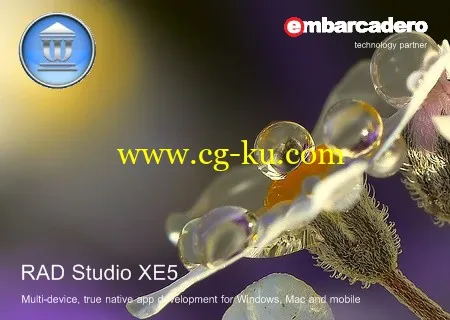 Embarcadero RAD Studio XE5 Update 2的图片1