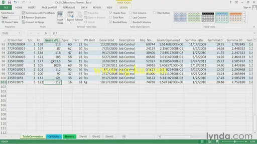 Excel 2013: Advanced Formatting Techniques (2013)的图片3