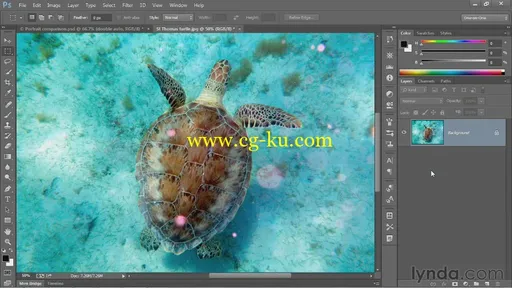 Photoshop CC One-on-One: Fundamentals (2013)的图片1