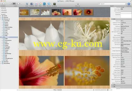 Lyn 1.3 Mac Os X 轻量级图像软件的图片1