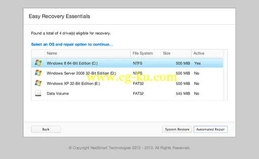 Easy Recovery Essentials Professional for Windows XP/7/8的图片1